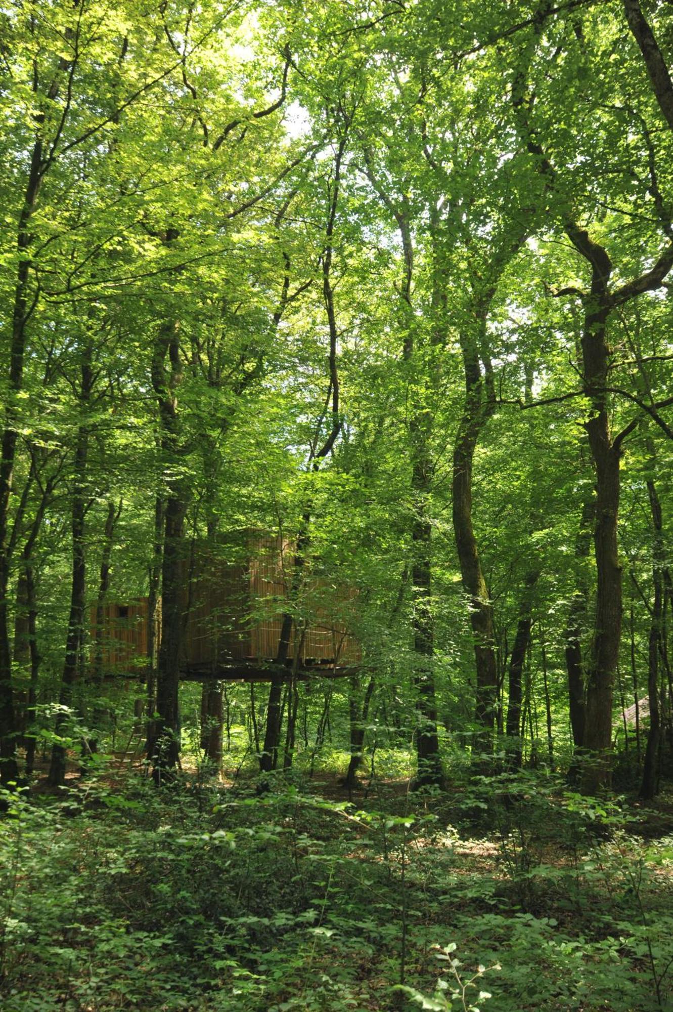 Cabanes Espace Fouletot Mont-sous-Vaudrey Oda fotoğraf